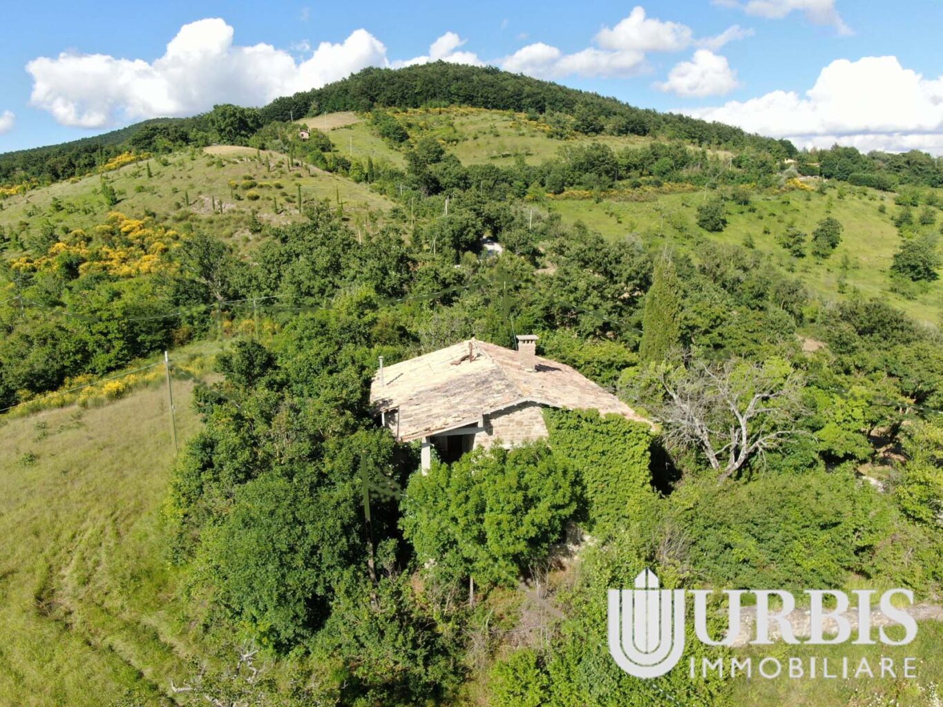 Casale Indipendente – Loc. Santa Maria di Lignano